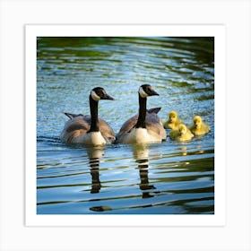 Firefly Baby Ducklings And Canadian Geese Swimming Together 57546 (2) Art Print