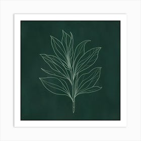 Chalk Drawing Of A Leaf Art Print