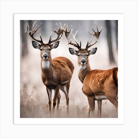 Two Deer Standing In The Woods Art Print