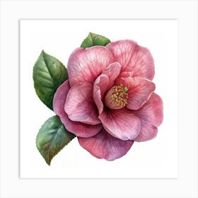 Pink Camellia Poster