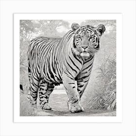 Tiger In The Jungle By Daniel Art Print