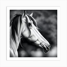 Black And White Horse Portrait Art Print