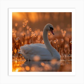 Sunrise Swan Art Print