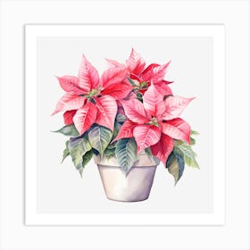 Poinsettia 16 Art Print