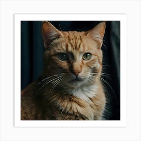 Cat Staring At Camera Art Print