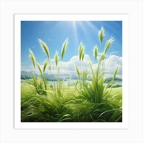 Grassy Field Art Print