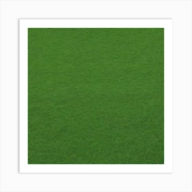 Grass Field 6 Art Print