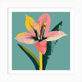Amaryllis 3 Square Flower Illustration Art Print