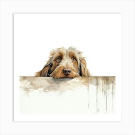 Spinone Italiano Dog 1 Art Print