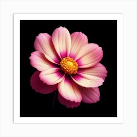 Pink Flower On Black Background Art Print