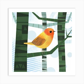 Canary on Branch Art Print