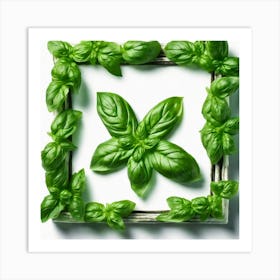 Green Basil Leaves In A Frame 1 Art Print