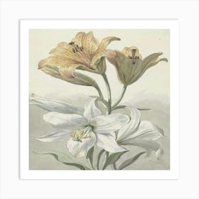 Lily Of The Valley 1 Art Print