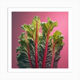 Swiss Chard 2 Art Print