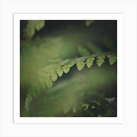 Dark Foliage 4 Art Print