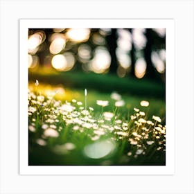 Dandelions Art Print