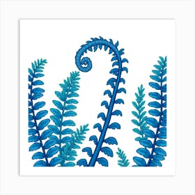 Blue Ferns Art Print