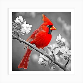 Cardinal Perched On A Branch Art Print