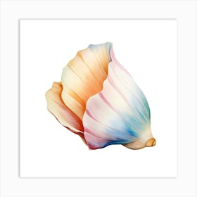 Seashell 1 Art Print