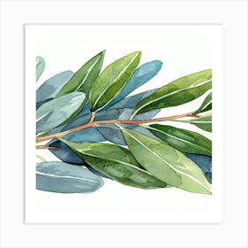 Olive Branch Watercolor Painting 2 Art Print