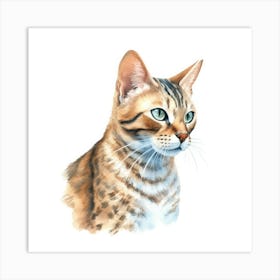 Cashmere Bengal Cat Portrait 1 Art Print