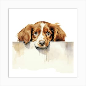 Setter Irish Red 2 Art Print