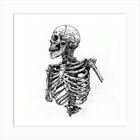 Skeleton Drawing Art Print