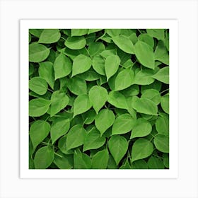 Green Leaves 4 Art Print