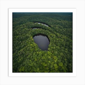 Pond In The Forest 1 Art Print