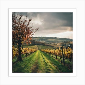 Autumn Vineyards Art Print