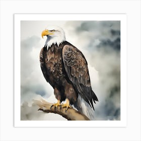 Watercolour Bald Eagle 1 Art Print
