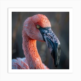 Flamingo 57 Art Print