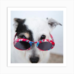 Dog Wearing Sunglasses Art Print