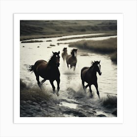 Horses Running In A River Art Print