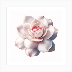 White Flower Isolated On White Background Art Print