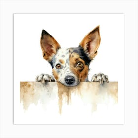 Australian Cattle Dog 6 Art Print