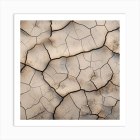 Cracked Dry Land 1 Art Print