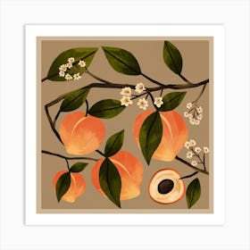 Peaches Botanical Art Art Print