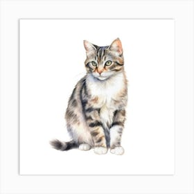 American Wirehair Longhair Cat Portrait 2 Art Print