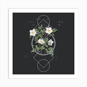Vintage White Candolle's Rose Botanical with Geometric Line Motif and Dot Pattern n.0265 Art Print