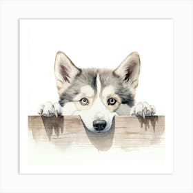 Siberian Husky 2 Art Print