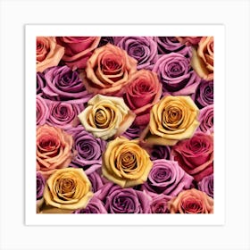 Colorful Roses 48 Art Print