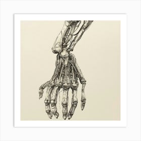 Hand Of A Skeleton Art Print