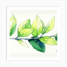 Green Leaf Watercolor Painting Art Print