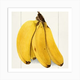 Bananas Art Print