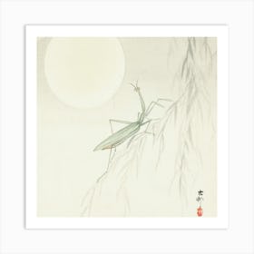 Praying Mantis (1900 1936), Ohara Koson Art Print