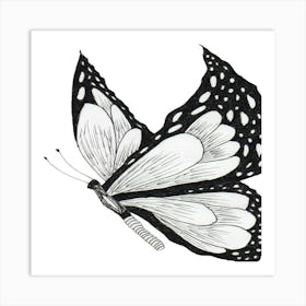 Butterfly Art Print