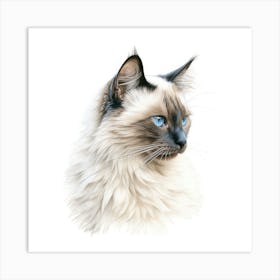 Colourpoint Cat Portrait Art Print