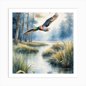 Duck In Flight Art Print