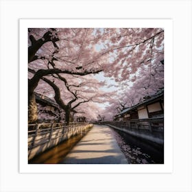 Cherry Blossoms In Kyoto 3 Art Print